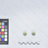 CIP 765693 (1)_B.jpg