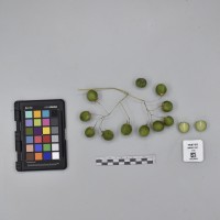 CIP765735_RPSP 051_B.JPG