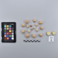 CIP765736_RPSP 052_T.JPG