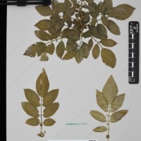 CIP 760236_HHCH 4422_05.jpg