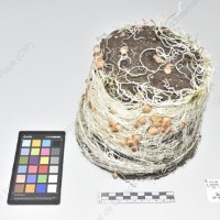 CIP 760017_OCH S49_pcsxhcb_Tb_2024.jpg