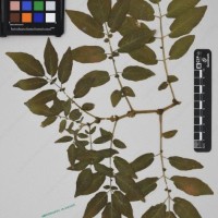 CIP 760305_HHCH 4728_12.jpg