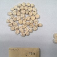 CIMMYTMA 2721 - Reference Inventory.jpg