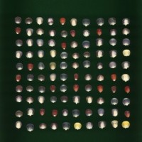 CIMMYTMA 5978 OAXA 320 PV22A-1903-124 K4400 _compress.jpg