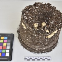 CIP762915_SSTH 7397_Tb.JPG