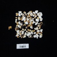 Popped and not popped comparison labeled.jpg