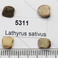 5311.jpg