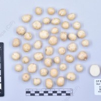 CIP 760873_VSLC 165_acl_T_2024.jpg