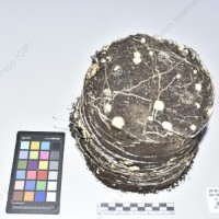 CIP 761404_OCH 12033_acl_Tb_2024.jpg