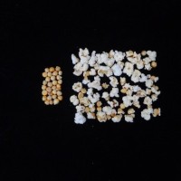 Popped and not popped comparison.jpg