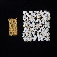 Popped and not popped comparison.jpg