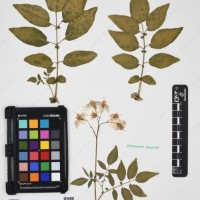 CIP 760305_HHCH 4728_04.jpg