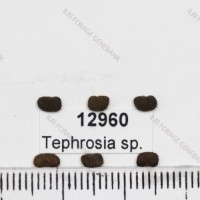 12960.jpg