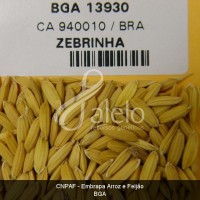 BRA00011228-4.JPG