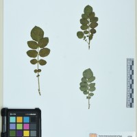 224944_HAM 166 CIP 760526.JPG