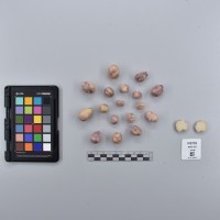 CIP765735_RPSP 051_T.JPG