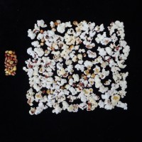 Popped and not popped comparison.JPG