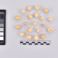 CIP 761726_OCH 13684_buk_T_2024.jpg