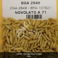 BRA00001723-6.JPG