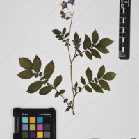 CIP 760341_HHCH 5074_02.jpg