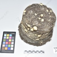 CIP 761287_OCHS 11824_acl_Tb_2024.jpg