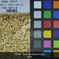 BRA00004037-8.JPG