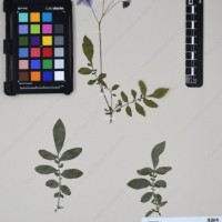 CIP 762915_SSTH 7397_08.jpg