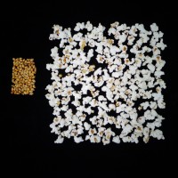 Popped and not popped comparison.JPG