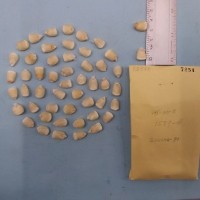 CIMMYTMA 7254 - Reference inventory.jpg