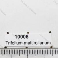 10006_.jpg