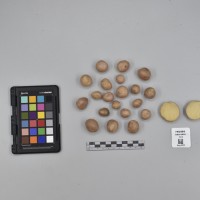 CIP760466_HHA 6650_T.JPG