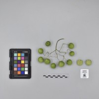 CIP765997_RPSP 320_B.JPG