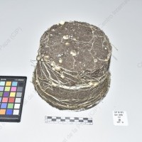 CIP 761575_OCH 13280_buk_Tb_2024.jpg