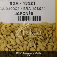BRA00011219-3.JPG