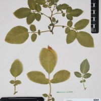 CIP 760433_HHA 6521_13.jpg