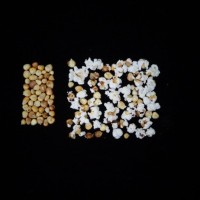 Popped and not popped comparison.jpg