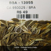 BRA00011252-4.JPG