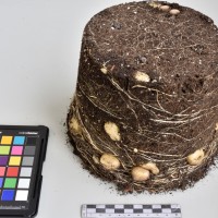 CIP765735_RPSP 051_Tb.JPG