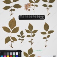 CIP 760433_HHA 6521_03.jpg