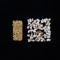 Popped and not popped comparison.jpg