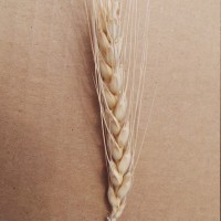 CWI_55039_52594_538_3_c.jpg