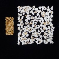 Popped and not popped comparison.jpg