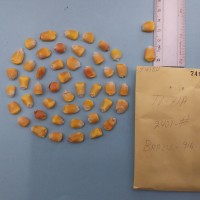 CIMMYTMA 7418 - Reference inventory.jpg