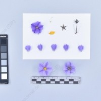 CIP 761833_OCH 13832_buk_F_2024.jpg