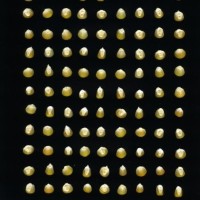 CIMMYTMA 27422 CHIS 836 TC19U-2903-35 K0 _Ready.jpg