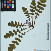 200298_OCHS 9796 CIP 761139.JPG