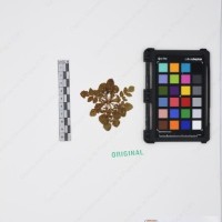 CIP 761557_OCH 13238.jpg