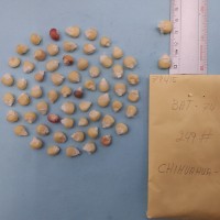 CIMMYTMA 7941 - Reference inventory.jpg