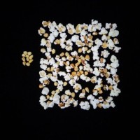 Popped and not popped comparison.jpg