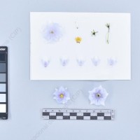 CIP 761163_OCHS 11004_tnd_F_2024.jpg